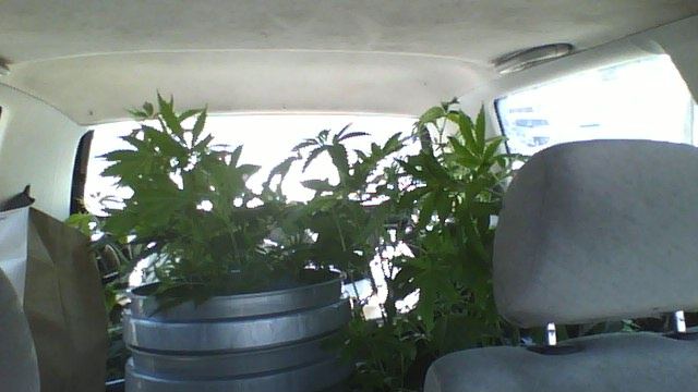 2012 04 21 121755