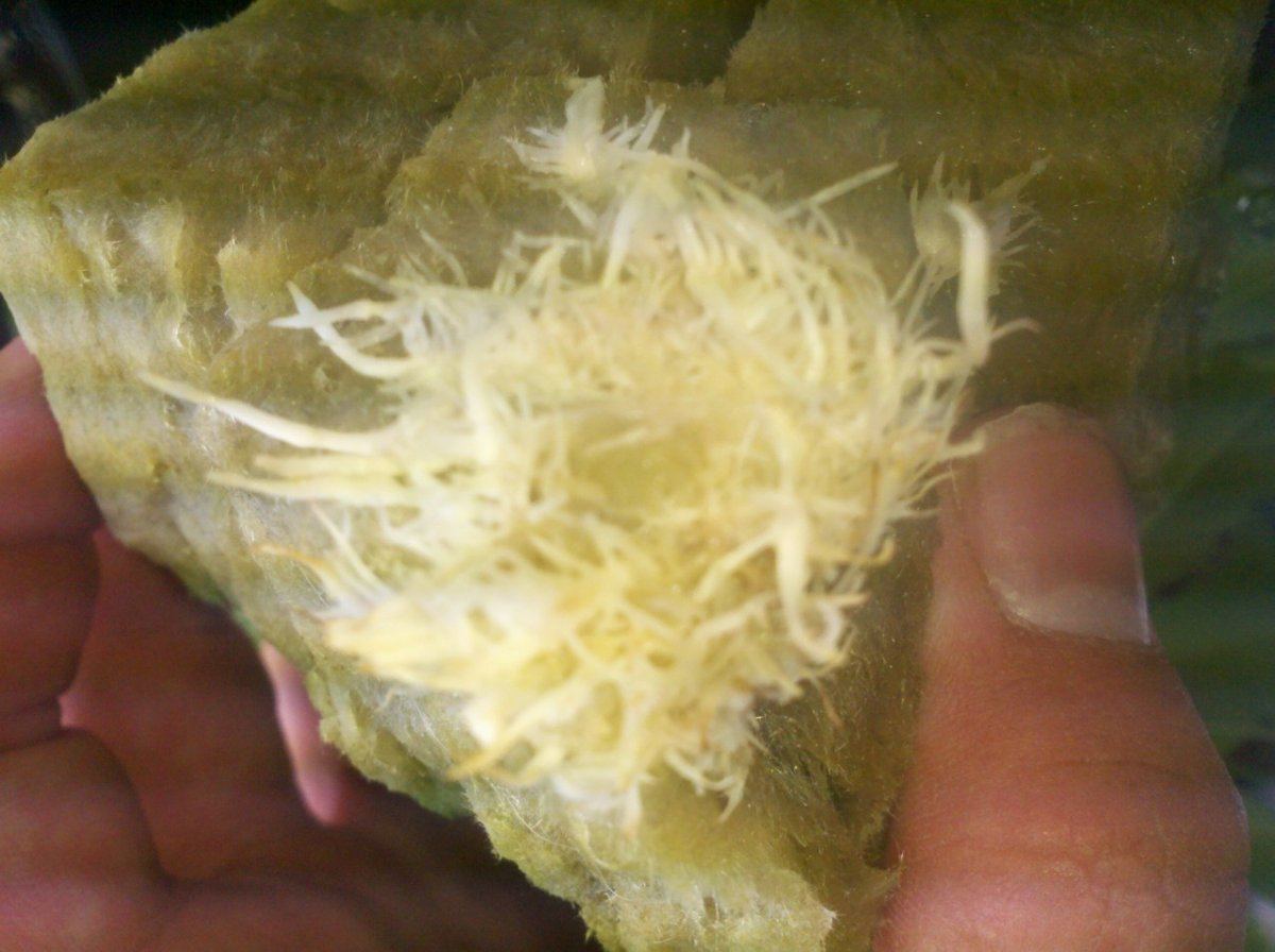 2012 07 06 02 02 48 754