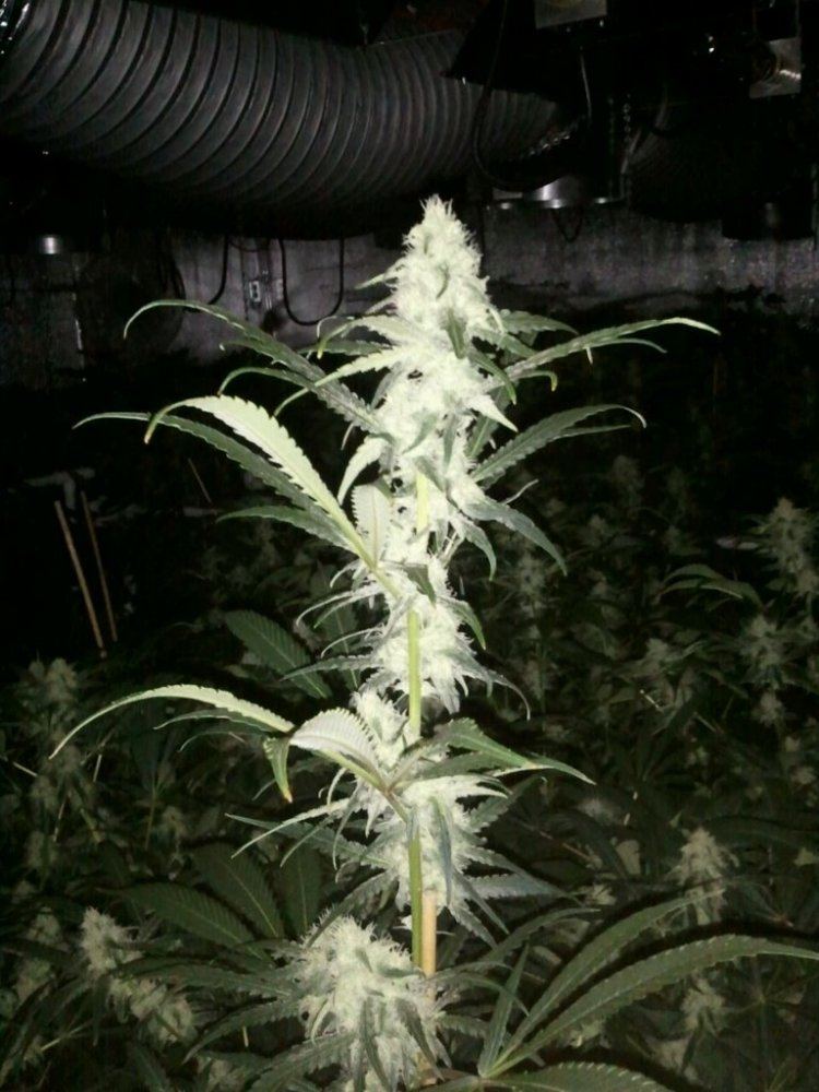 2012 07 07 205847