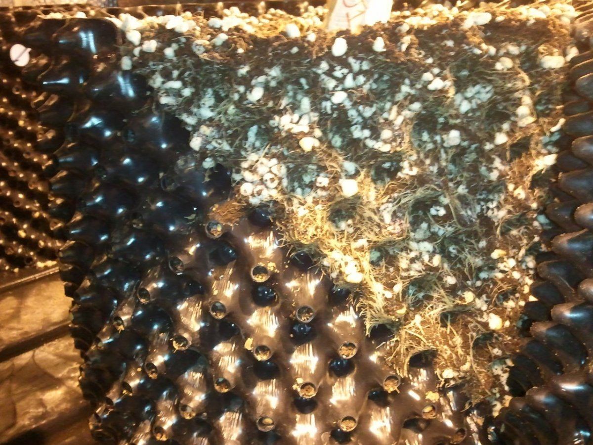 2012 07 19 233011