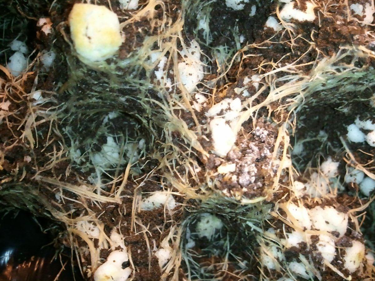 2012 07 19 233046