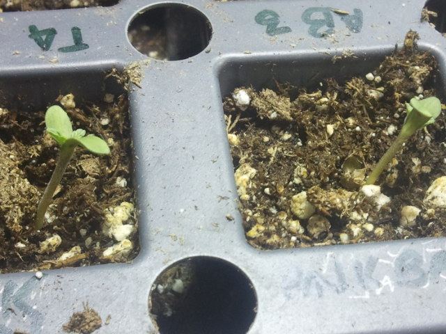 2012 08 01 234952