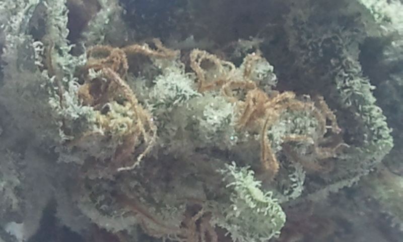 2012 08 08 051825