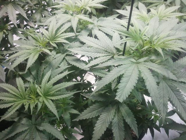 2012 10 05 173833