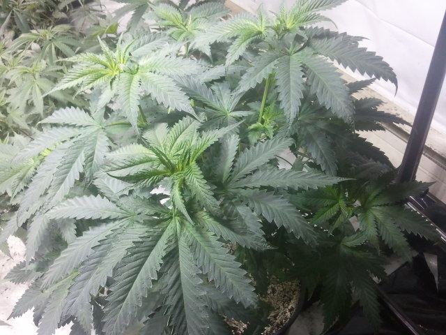 2012 10 05 174005