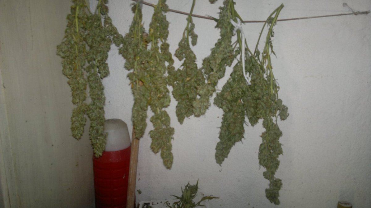 2012 10 06 310