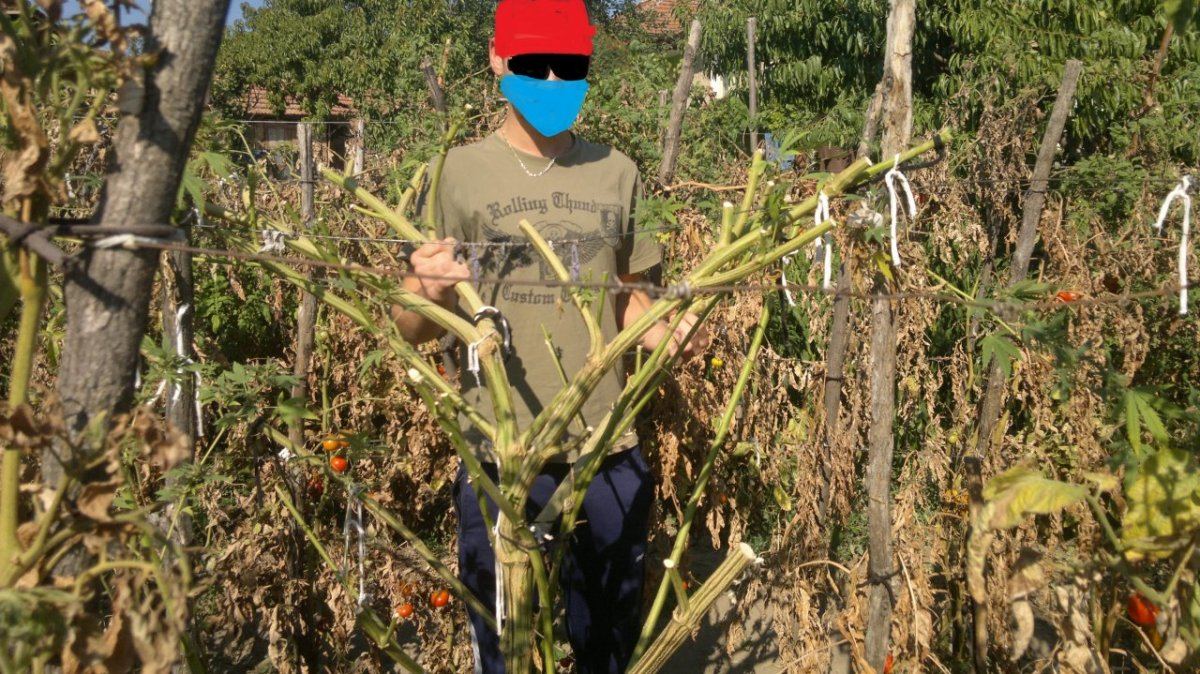 2012 10 06 312