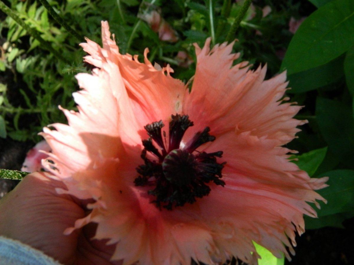 2012 yard 005