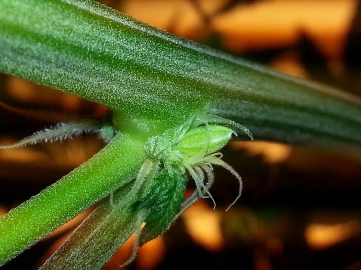 20120729 164952