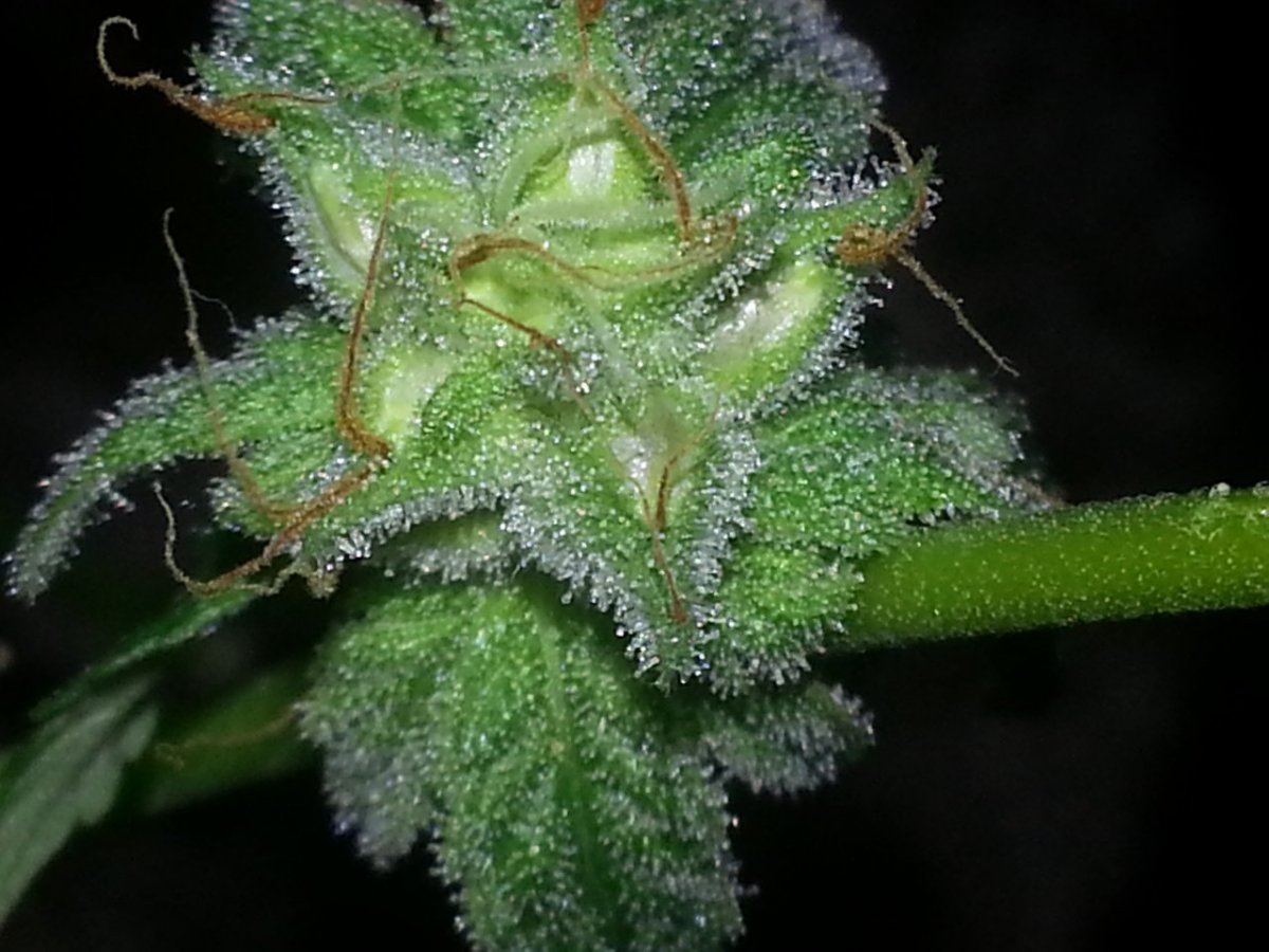 20120821 041013