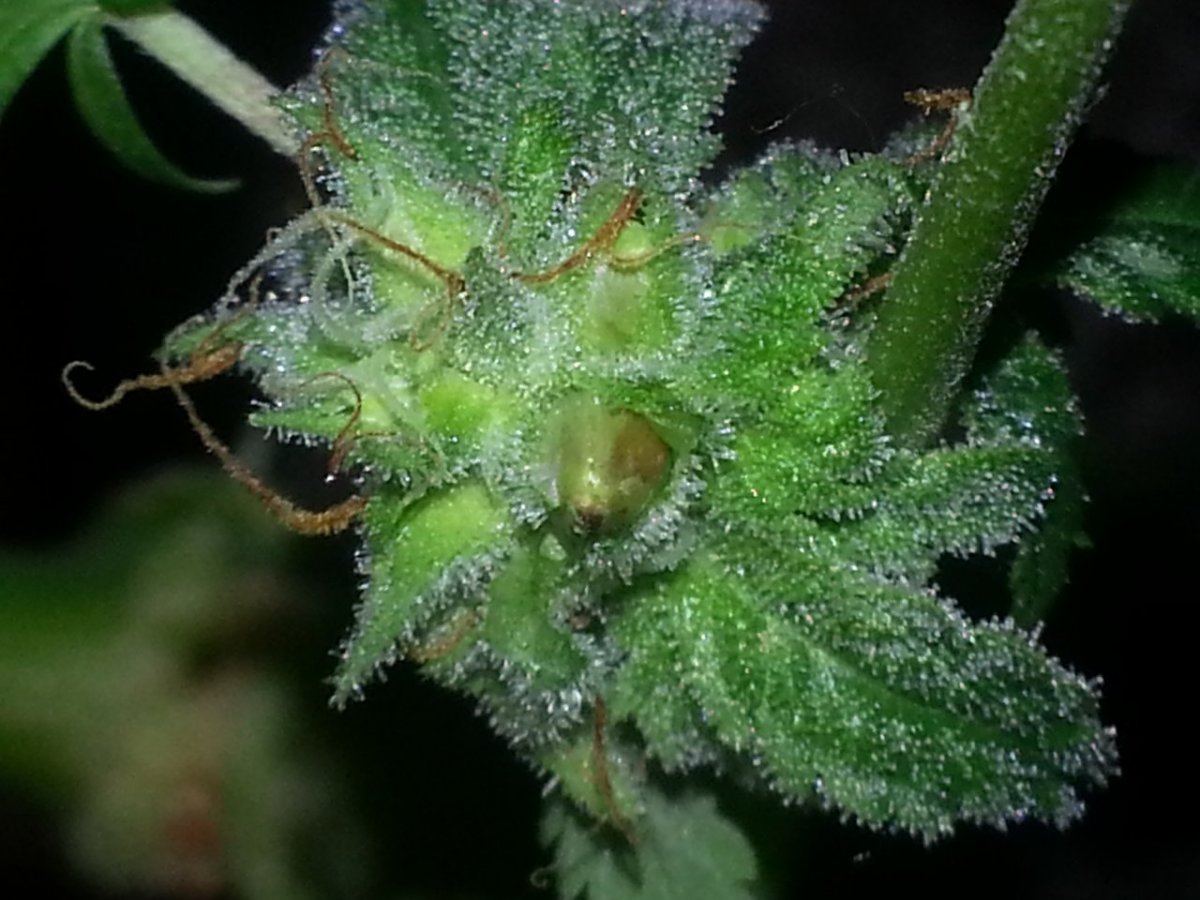 20120821 041113