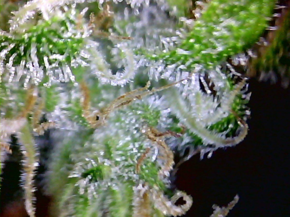 20121011014759