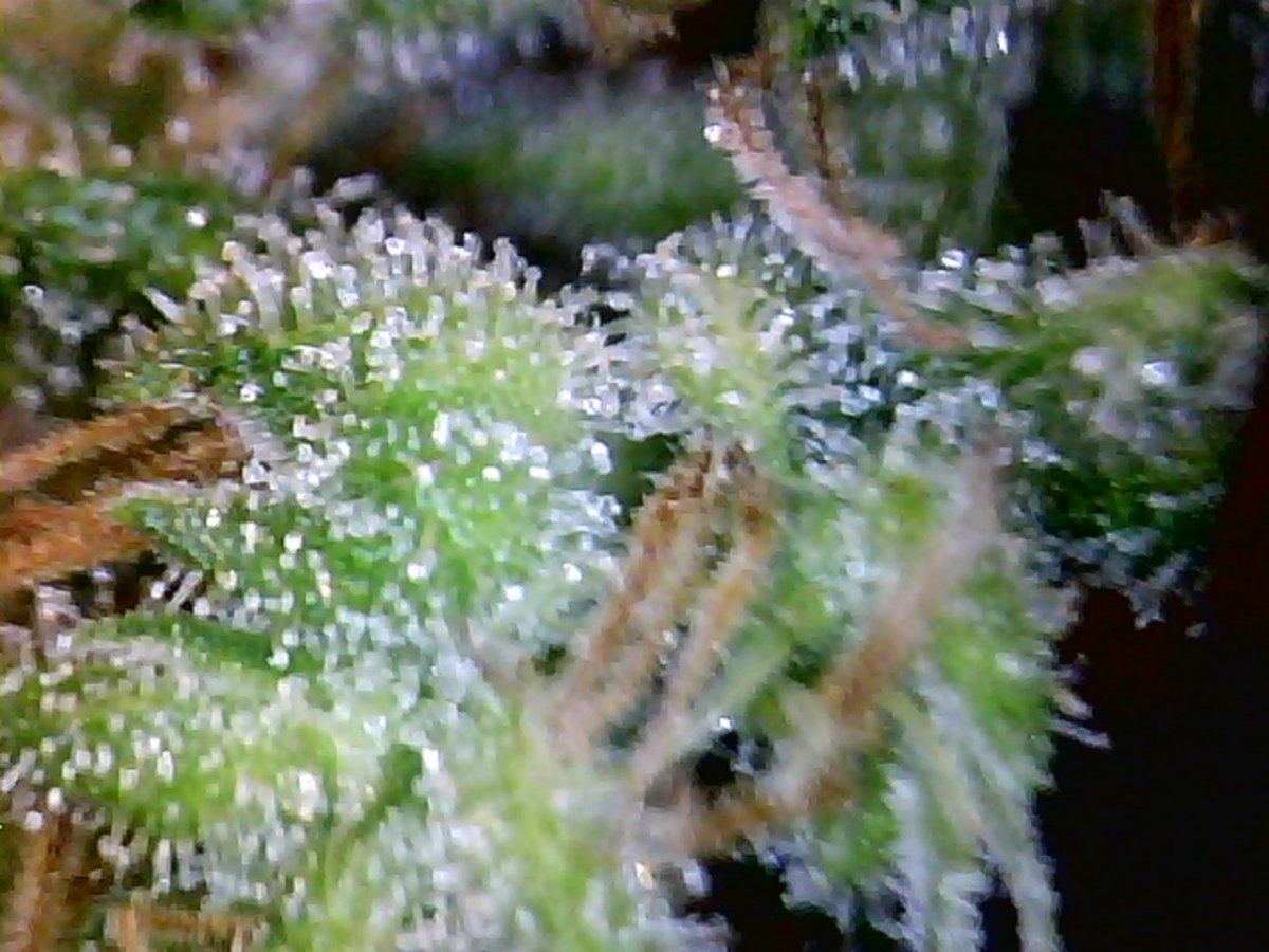 20121011022914