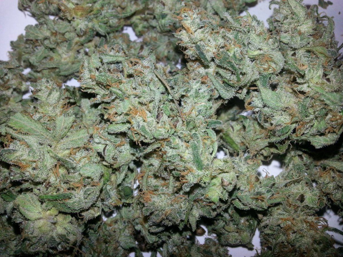 20121021 132236