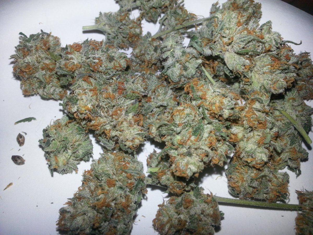 20121027 223613