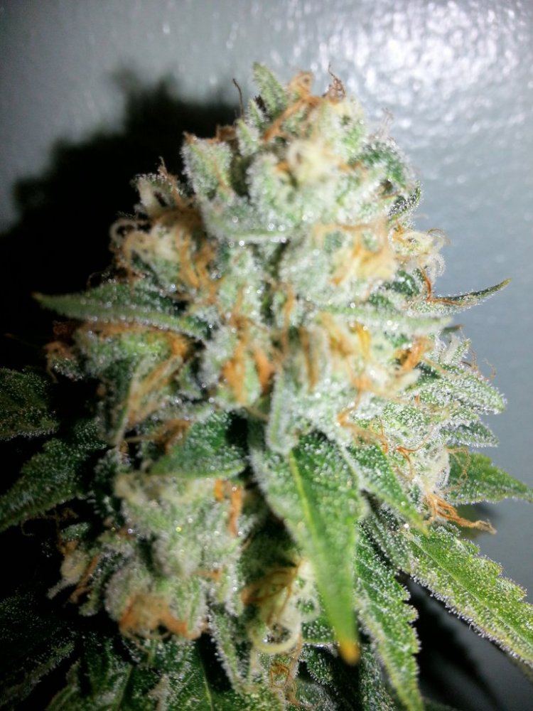 20121029 235008