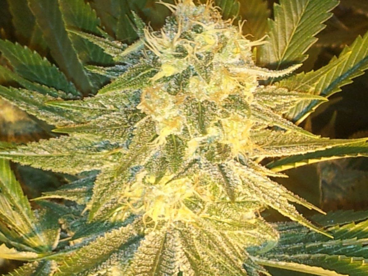 20121112 062138
