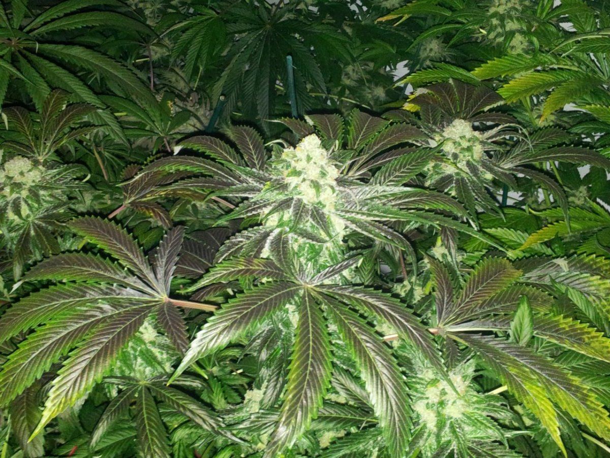 20121128 102339