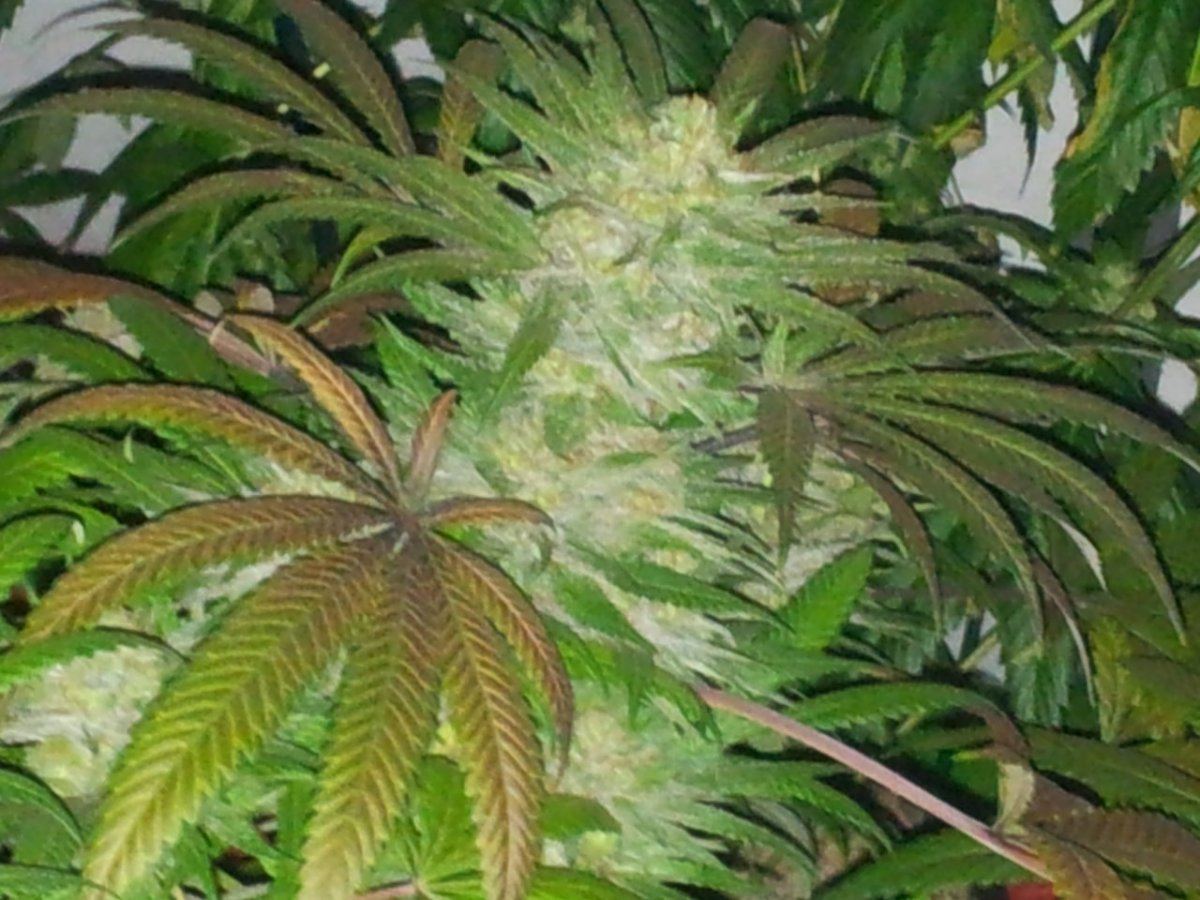 20121128 102505