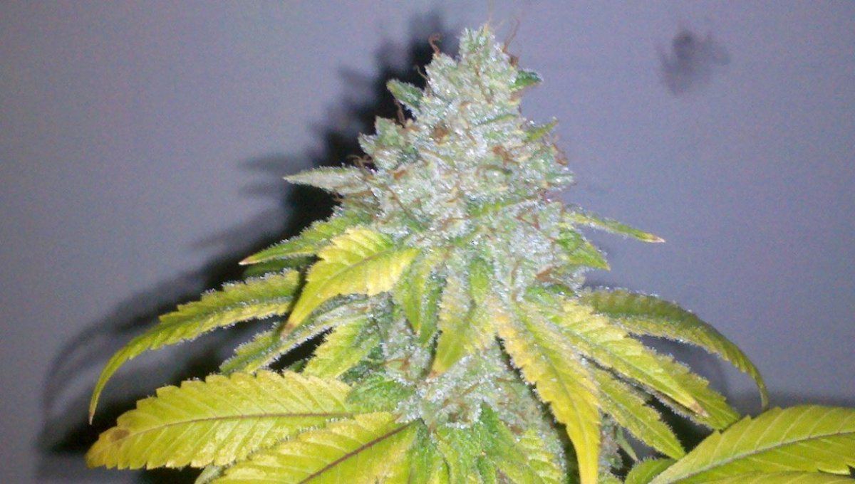 2013 09 05 07 01 29 43