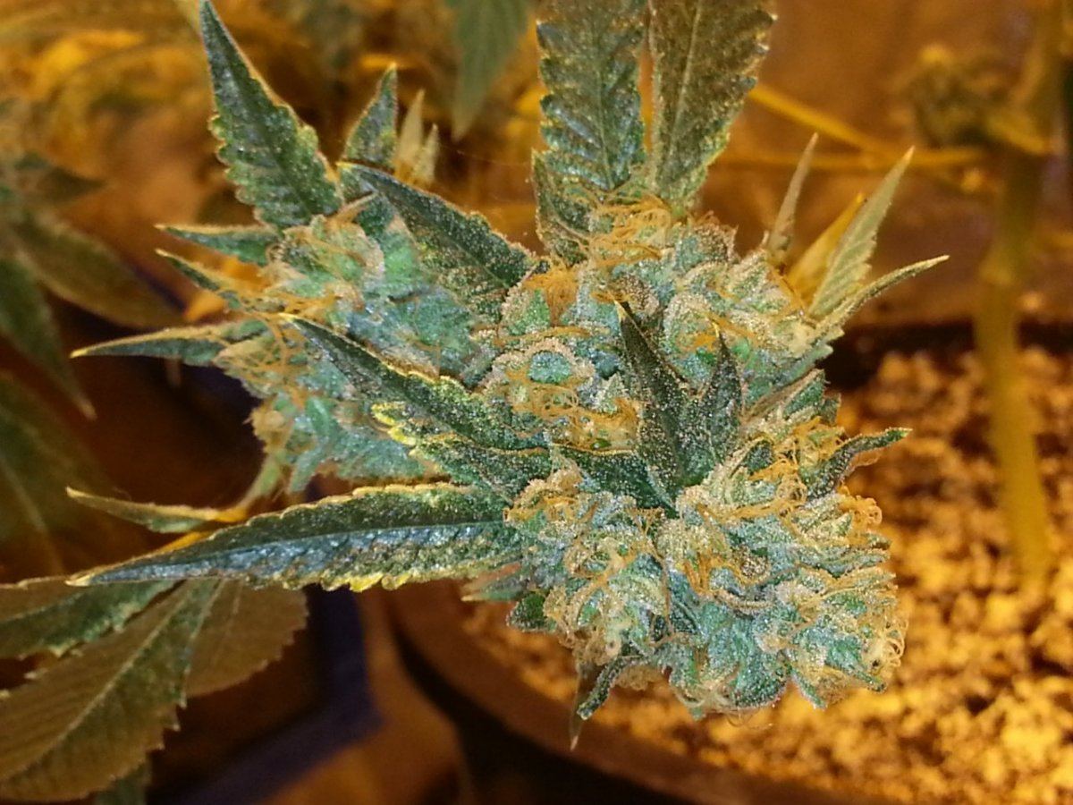 20130114 224929