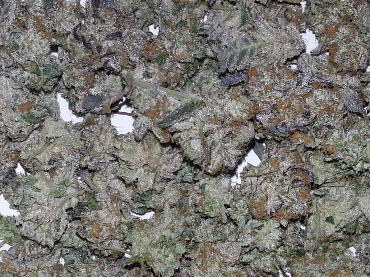 20130201 011007