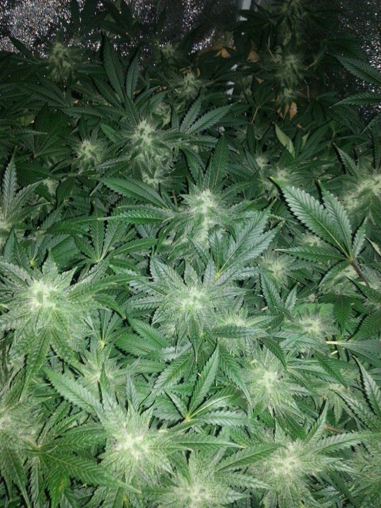 20130215 011140