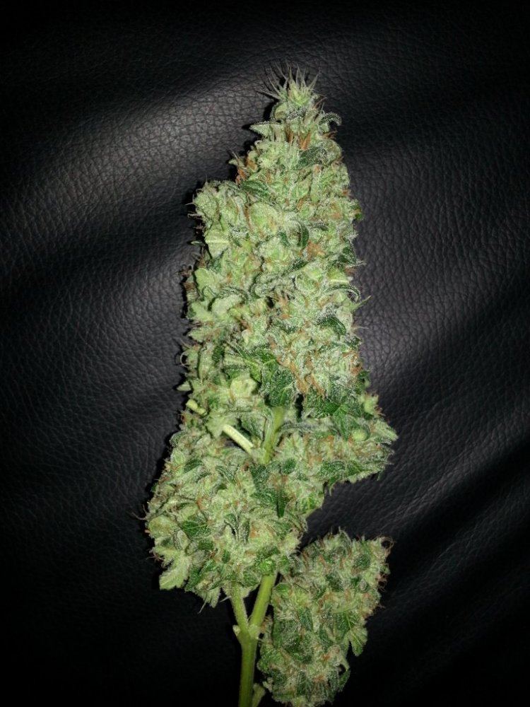 20130308 224916