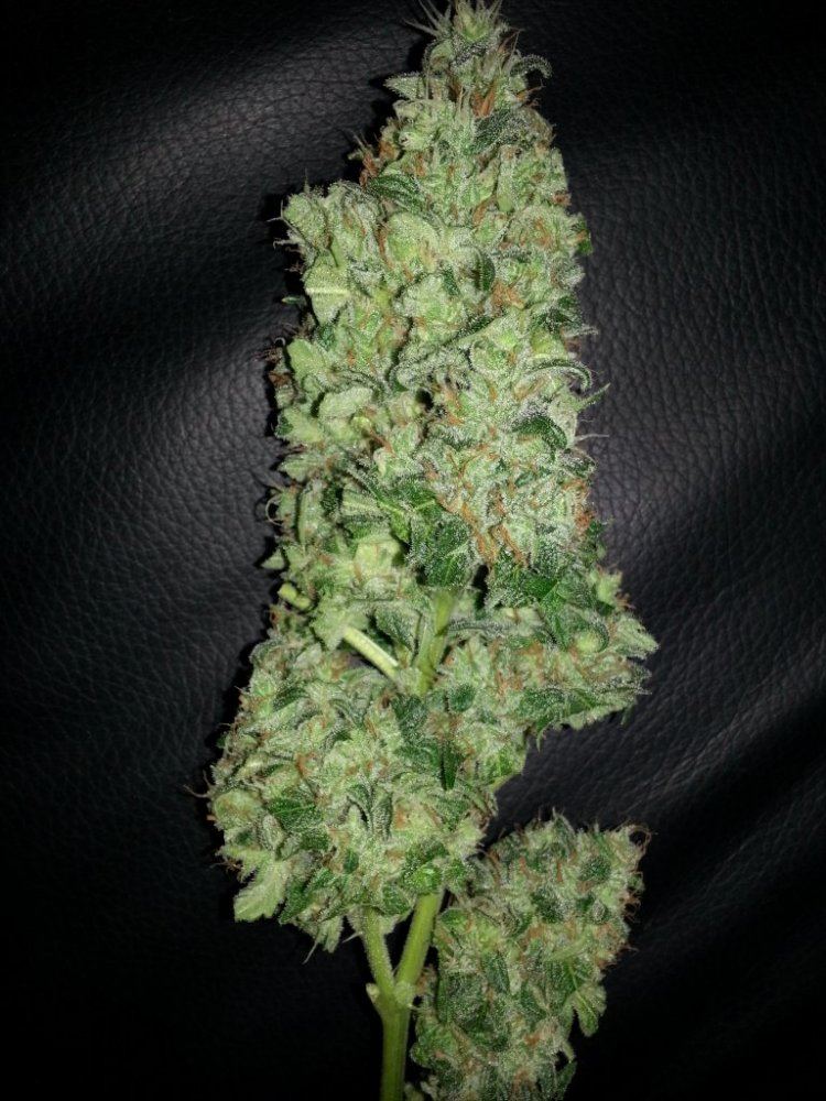 20130308 224918