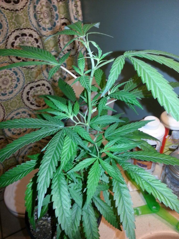 20130416 222456
