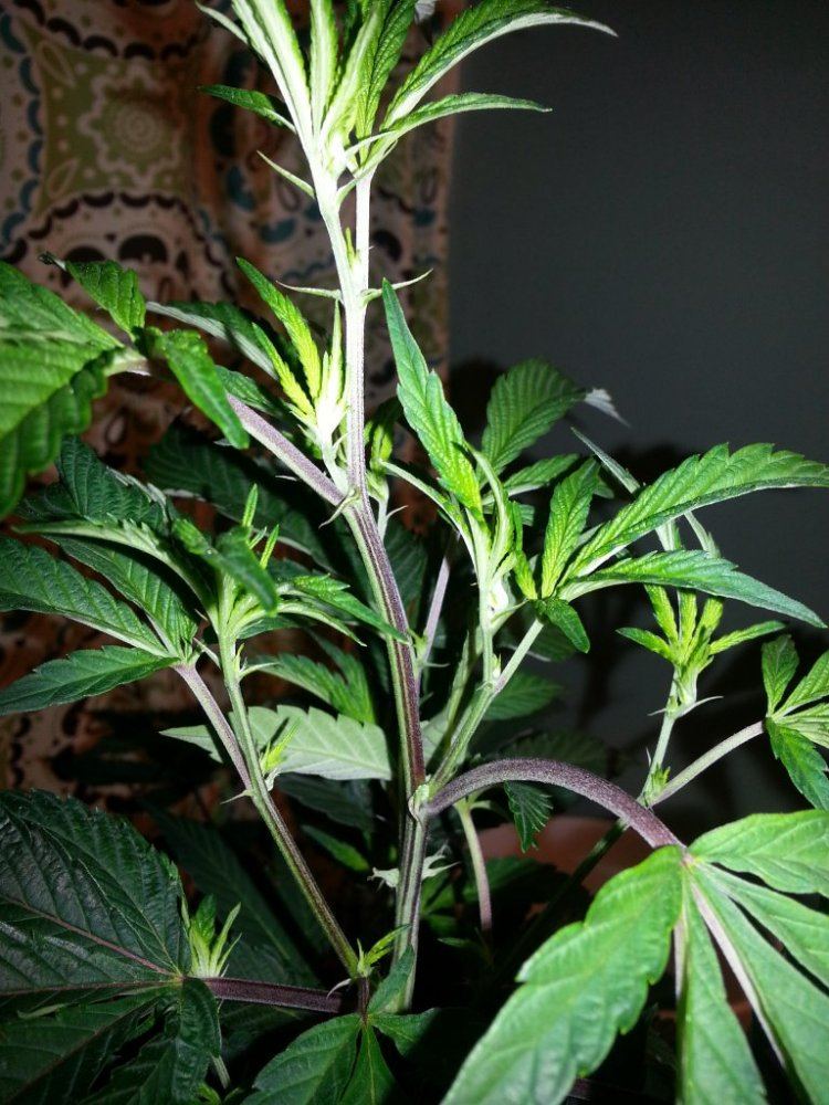 20130416 222854