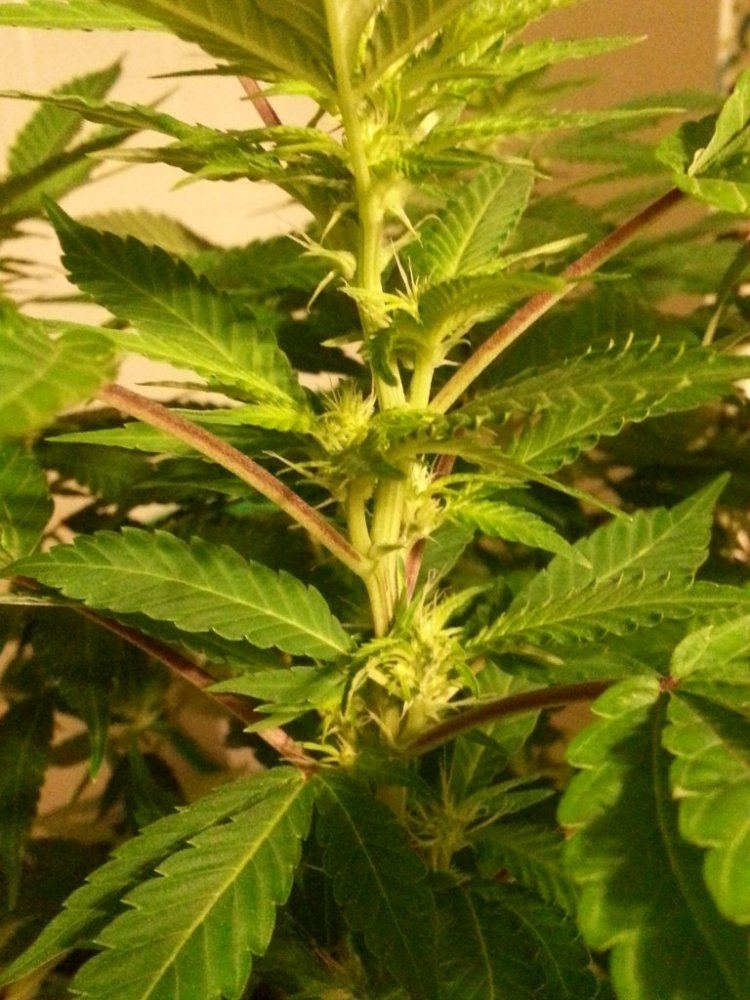 20130423 221751