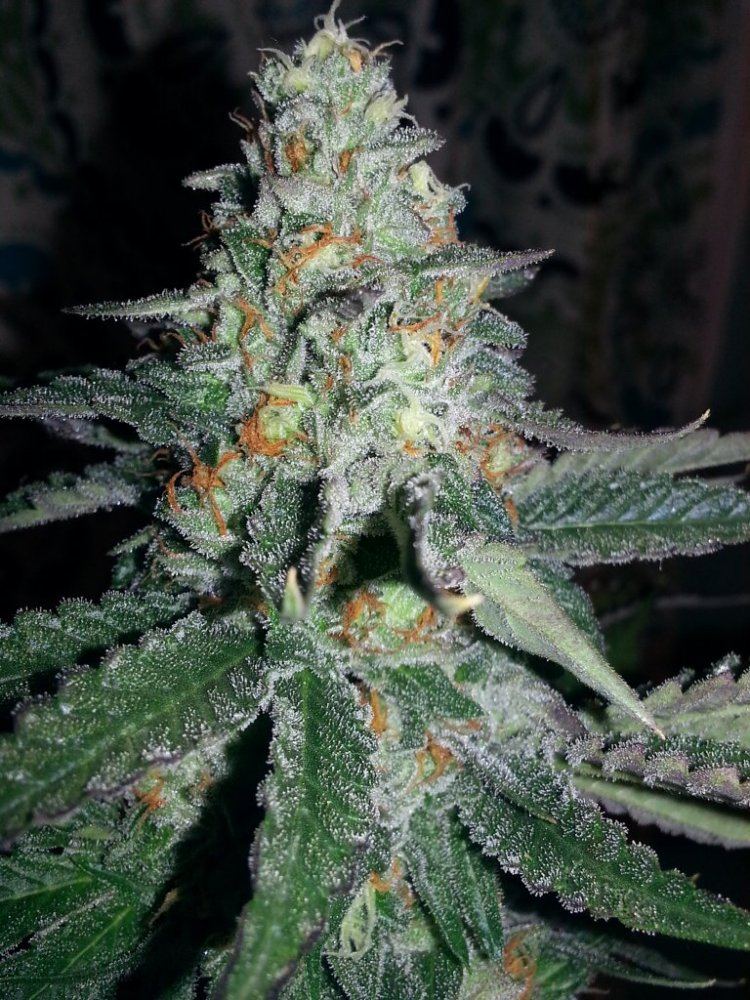 20130529 004201
