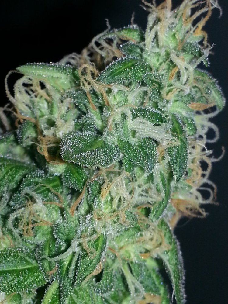 20130602 223358