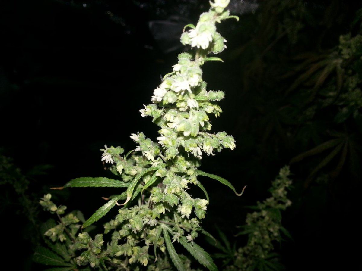 20130605 090100