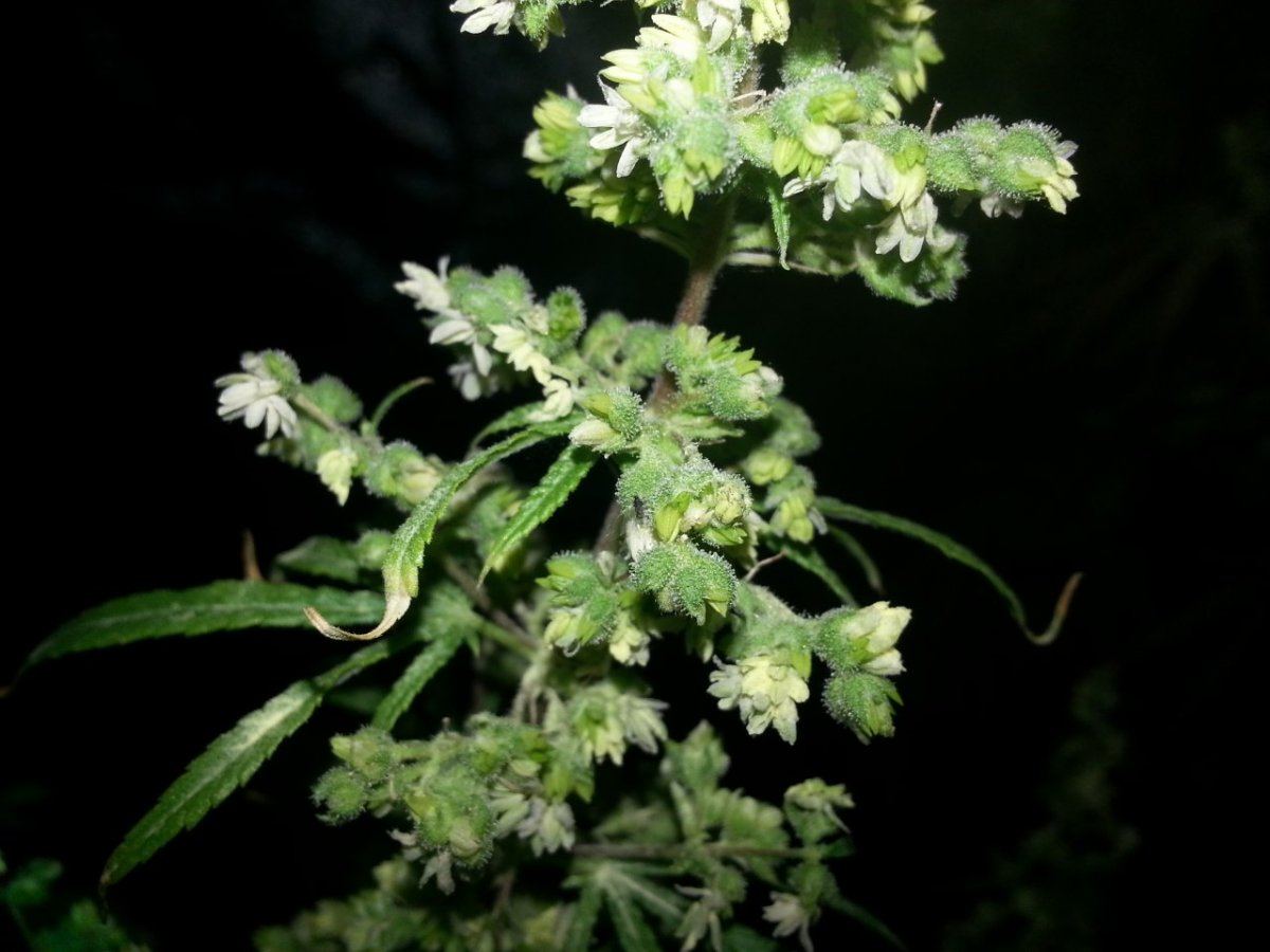 20130605 090112