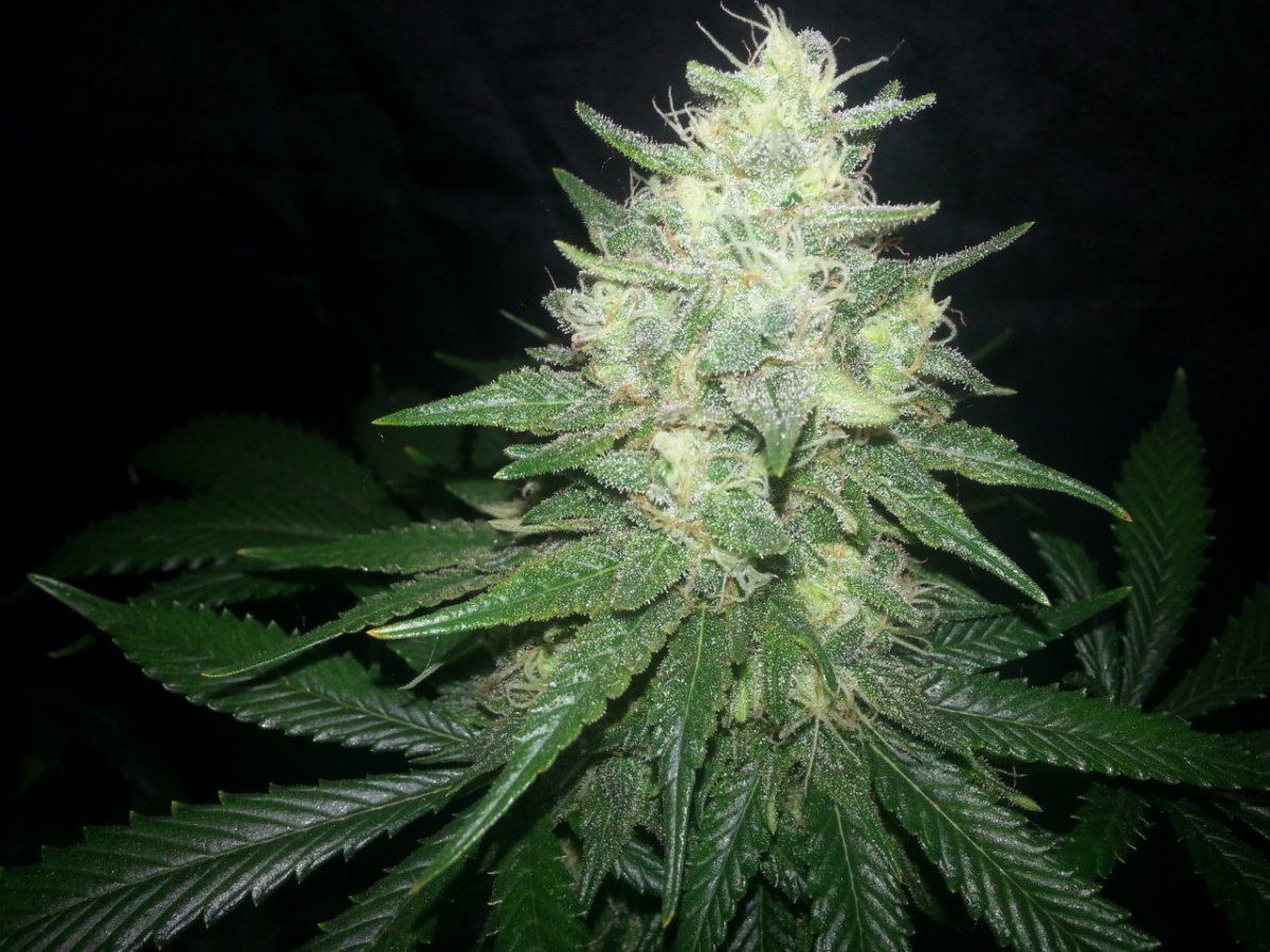 20130625 113128