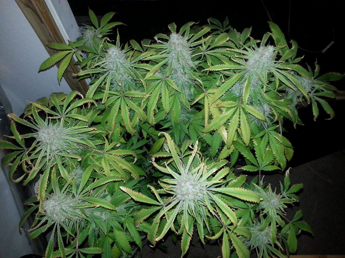 20130815 174755