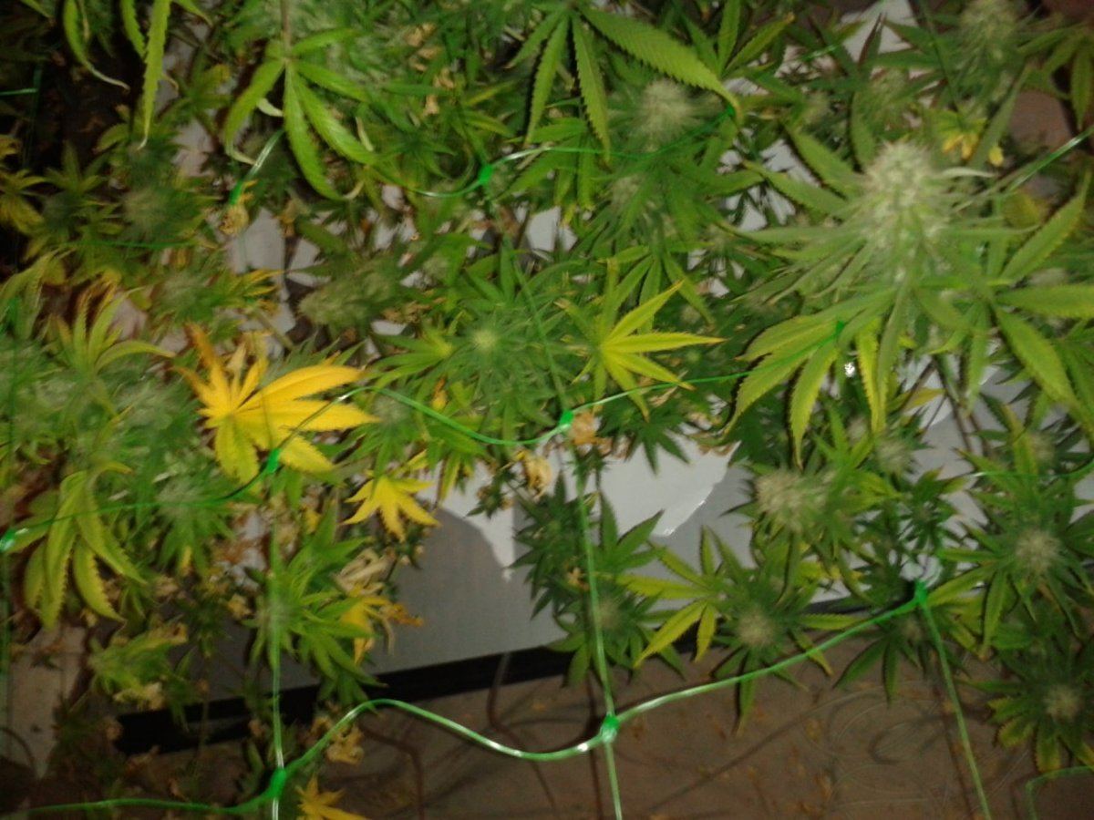 20130817 184243