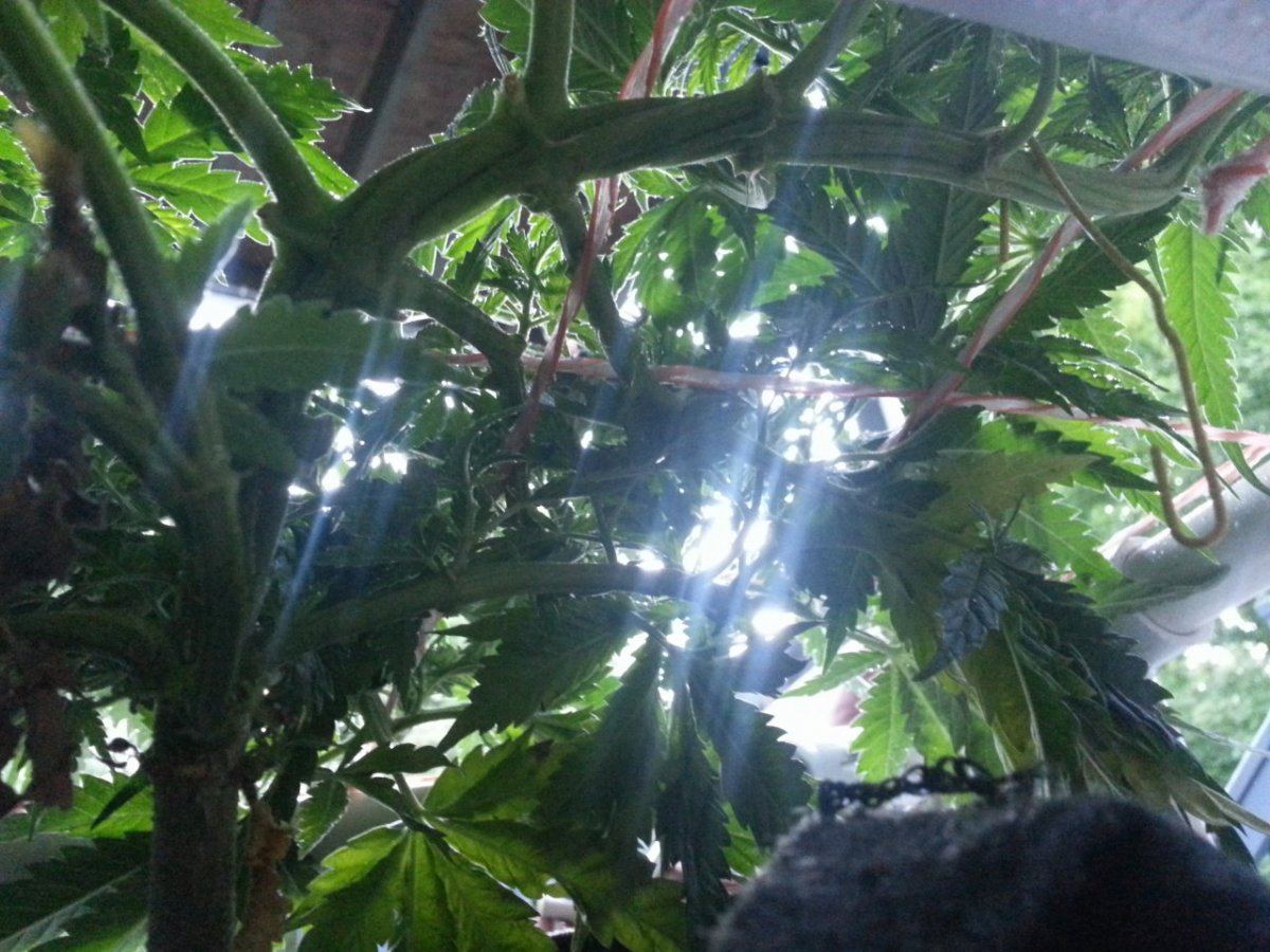 20130905 185459