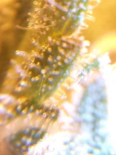 20130907 155231