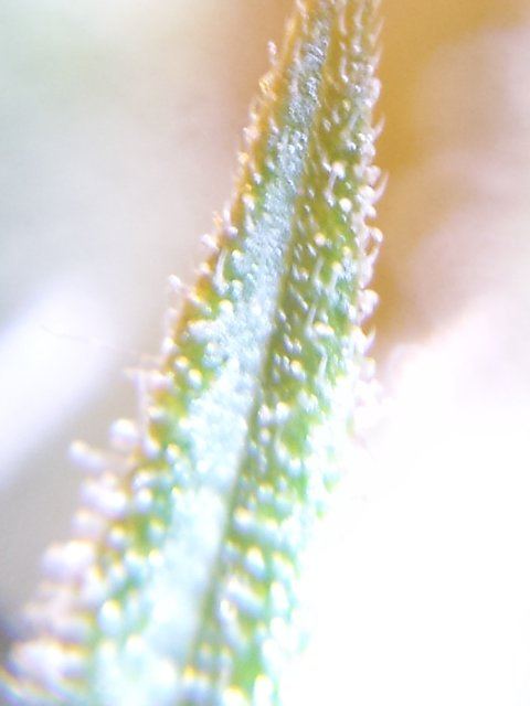 20130907 155444