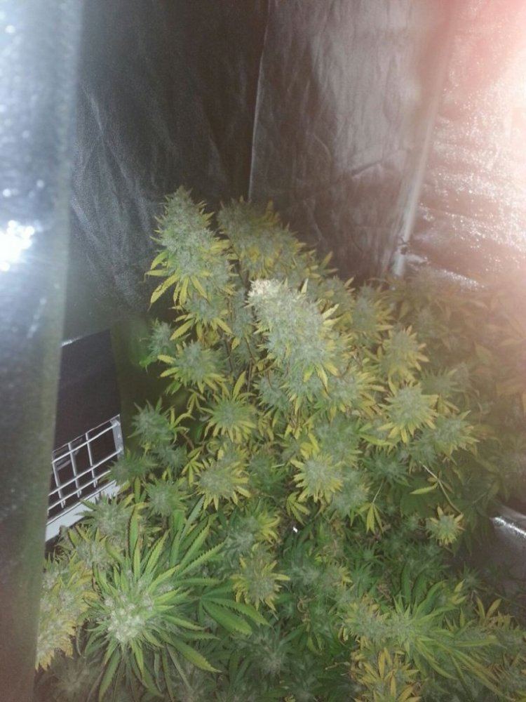 20130911 193656