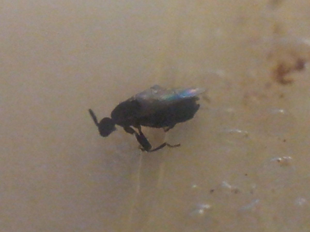 20130922 220940