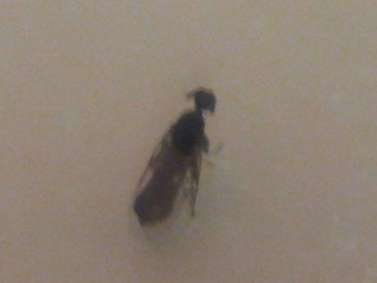 20130922 221018