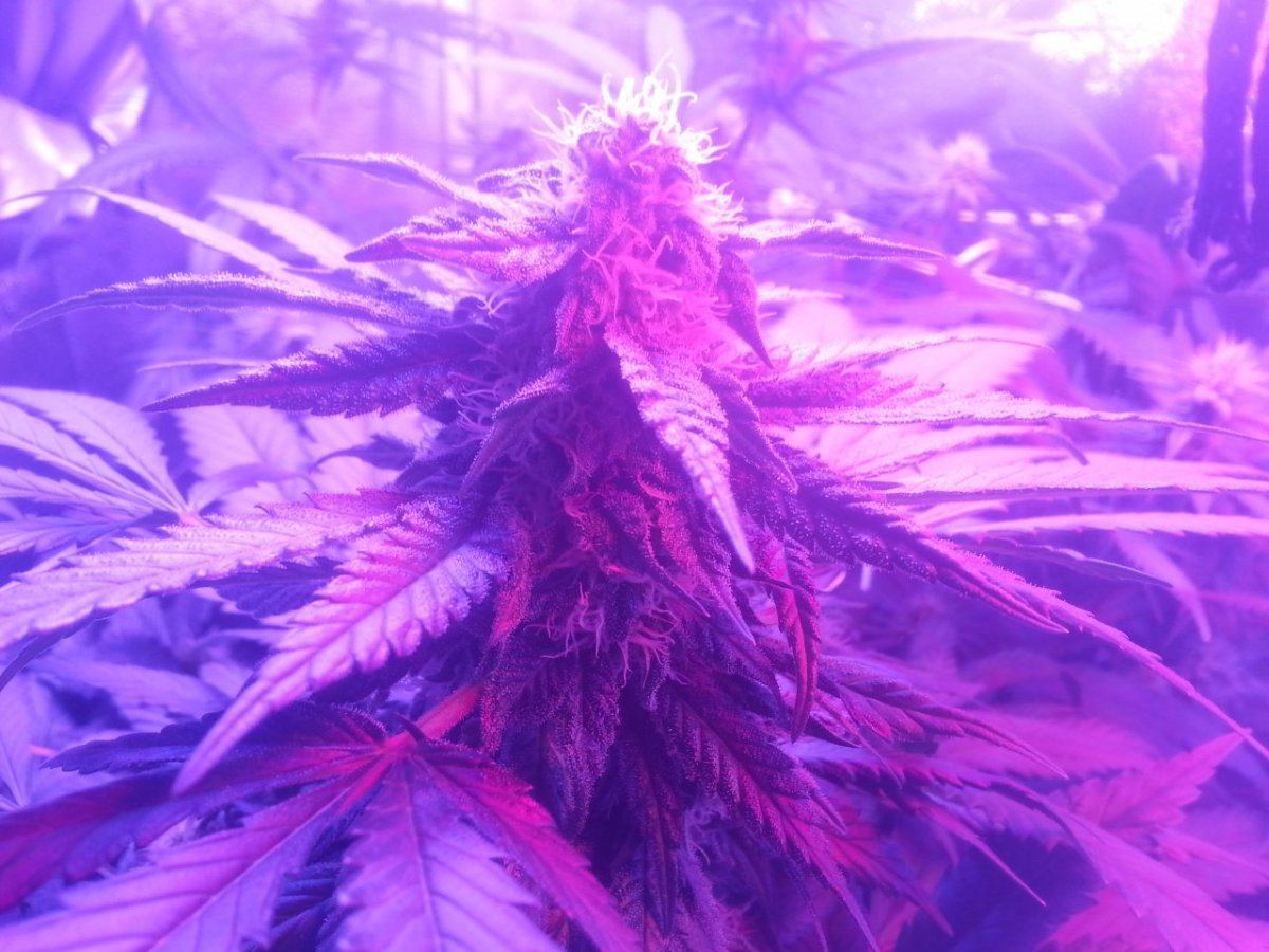 20131006 124055