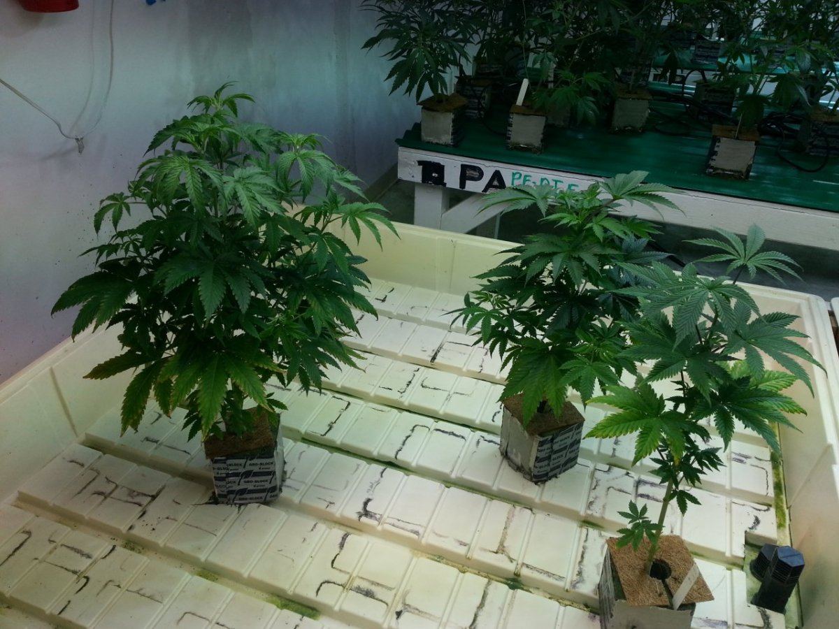 20131007 142533