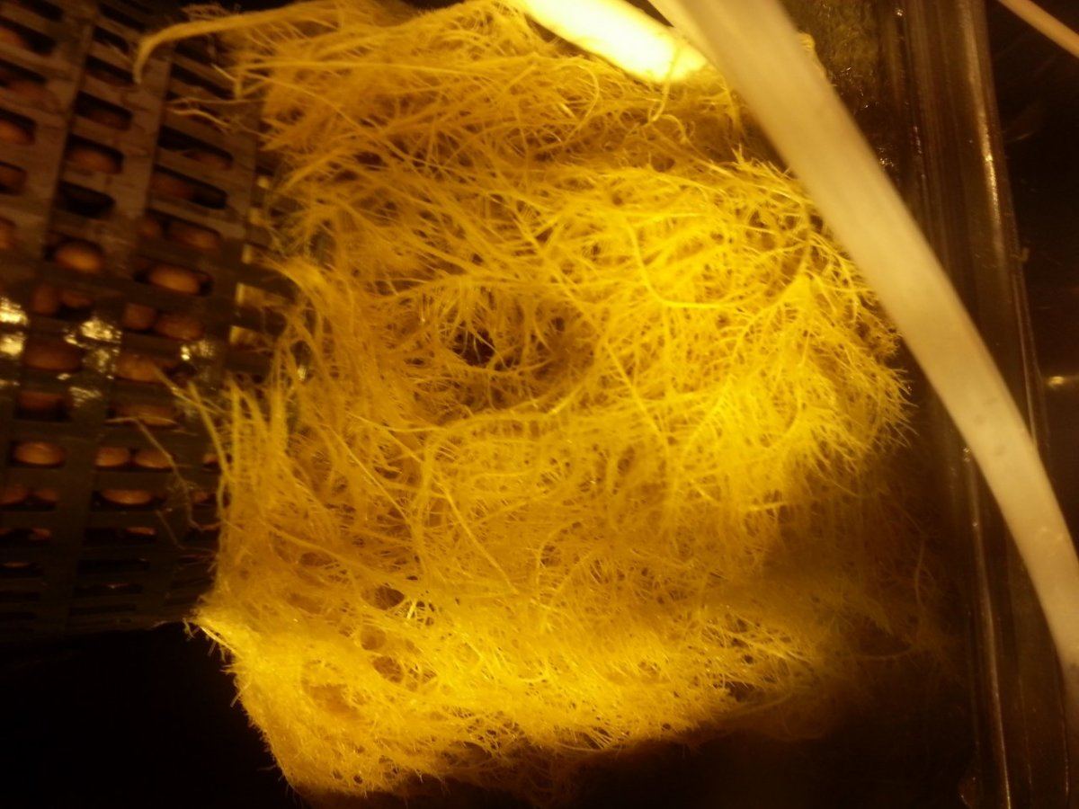 20131014 013637