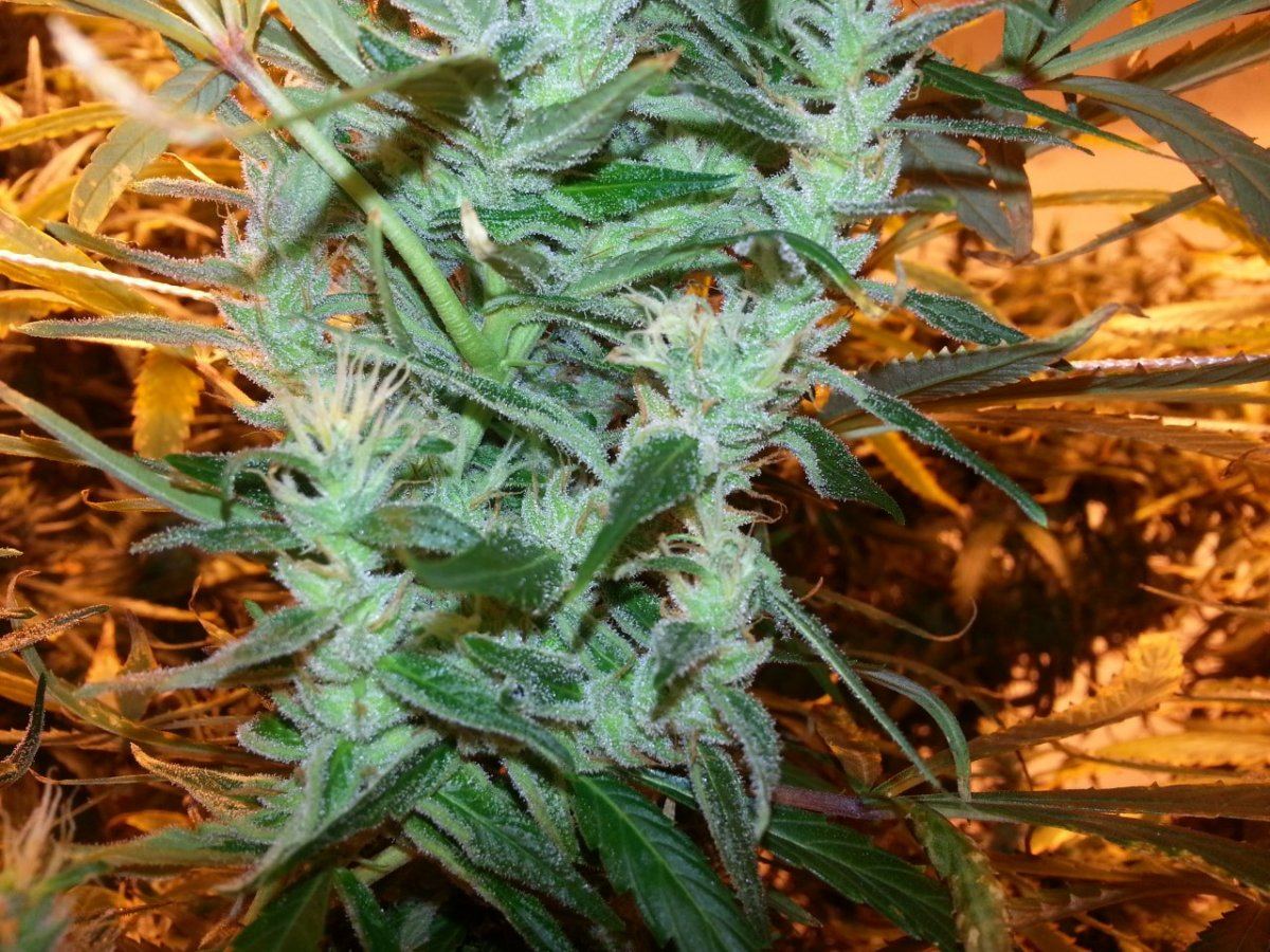 20131015 151032