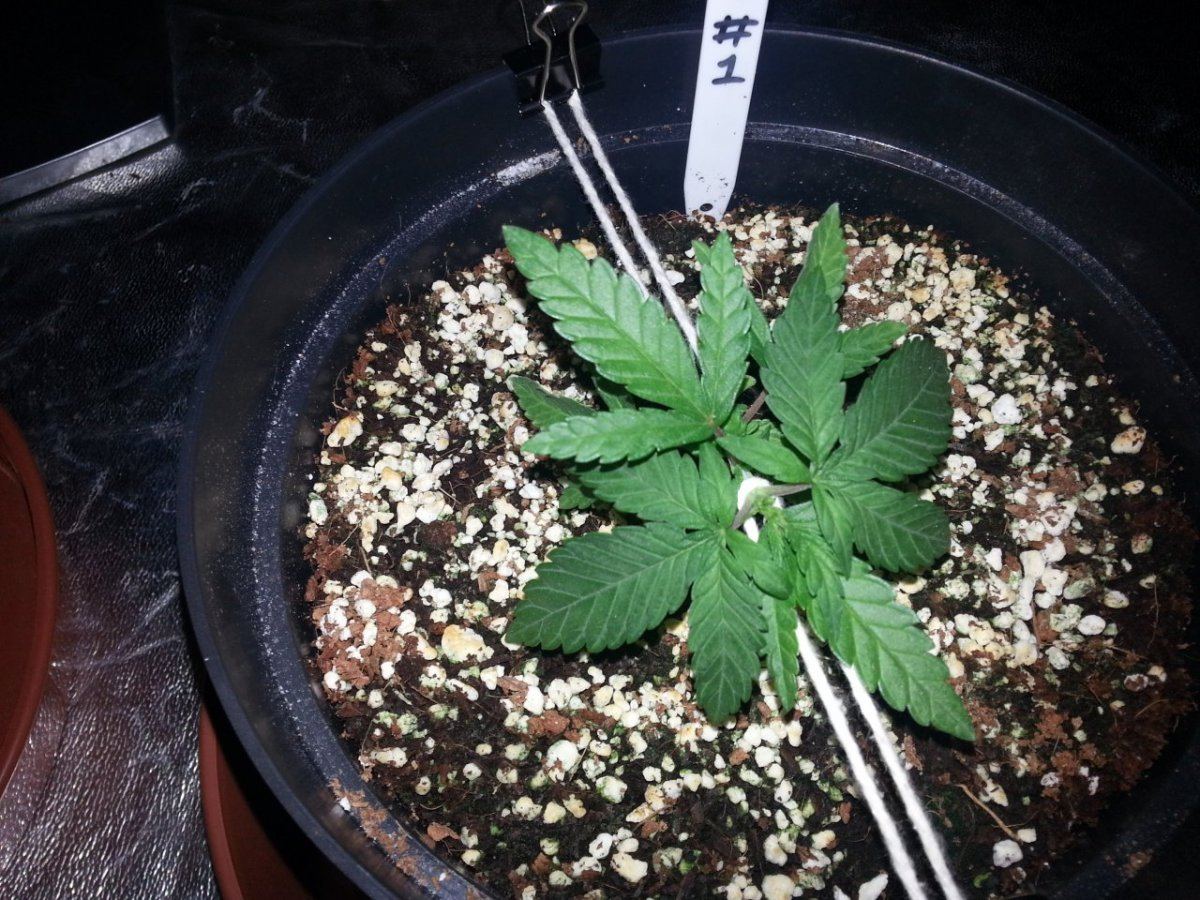 20131017 134127